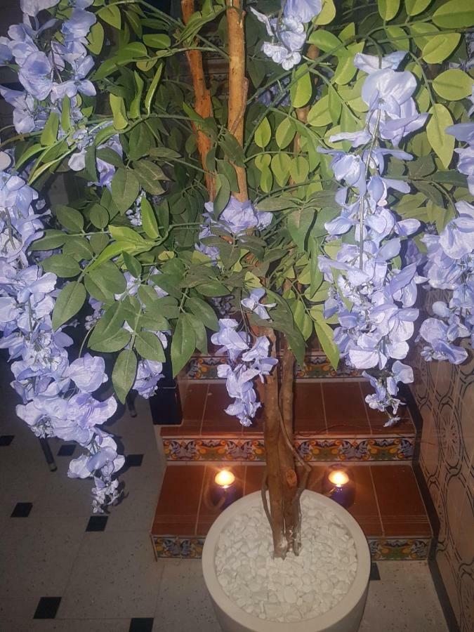 Big Apartment With Unique Patio Near Santa Barbara Castle Аликанте Екстериор снимка